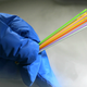 Glass tubes used to hold frozen embryos. (Image: AP)